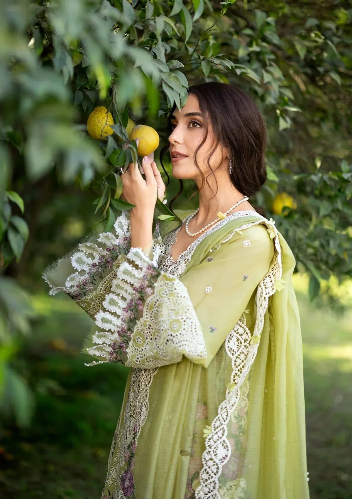 Elaf Premium Embroidered Luxury Lawn 3Pc Suit ELY-08 PISTACHIA