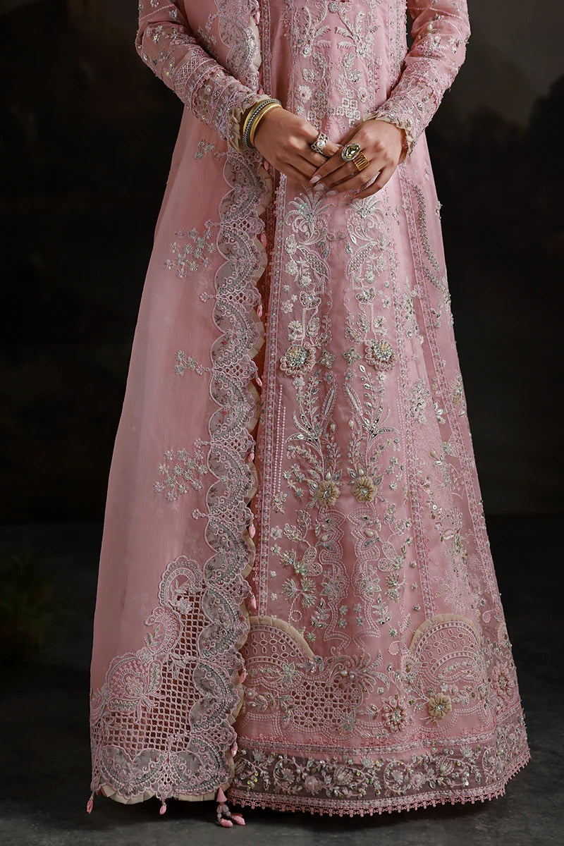 Blush Reverie